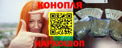 Альфа ПВП Вышний Волочёк