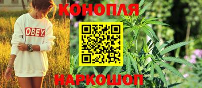 Альфа ПВП Вышний Волочёк