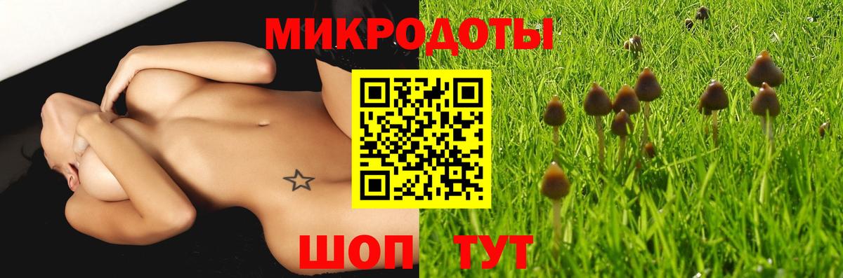 Галлюциногенные грибы Psilocybine cubensis  Вход с VPN  где можно купить   Волгоград 